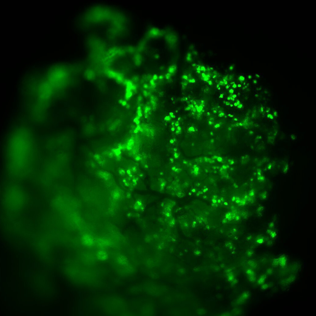 20220704%20DR%20E7%20d21_d21%2020xSnapshot2